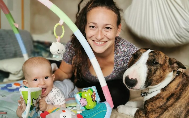 Bull Terriers and Newborn Babies - Bull Terrier World
