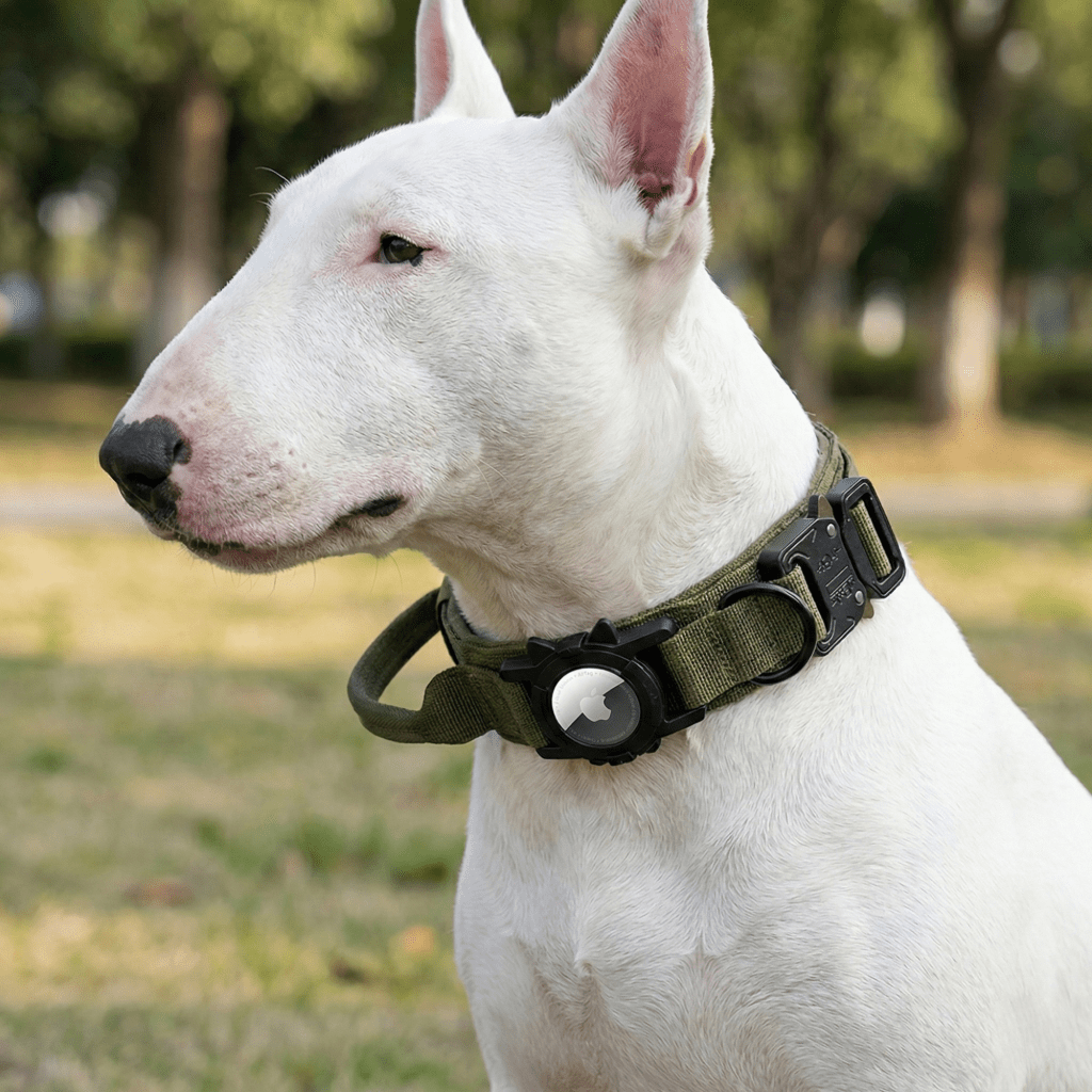 Taktischer Halsband 'Der Wächter' mit AirTag-Halter – Bull Terrier World