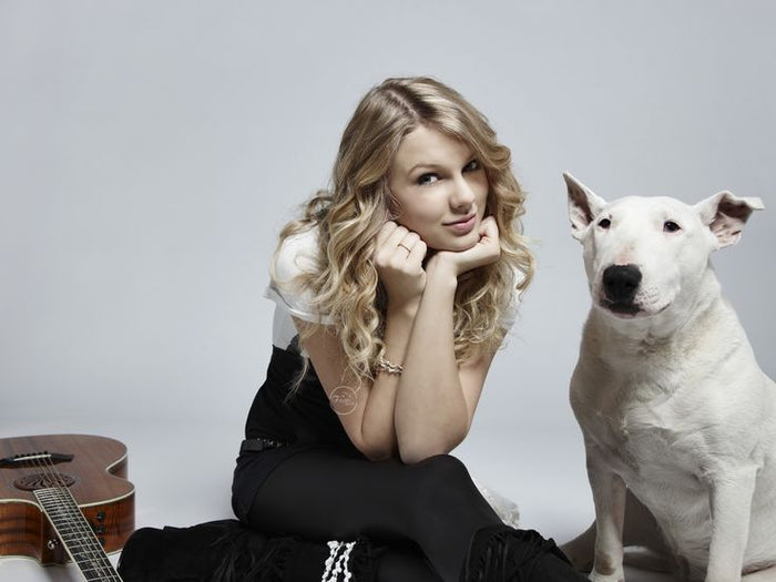 Celebrities Who Have Bull Terriers - Bull Terrier World