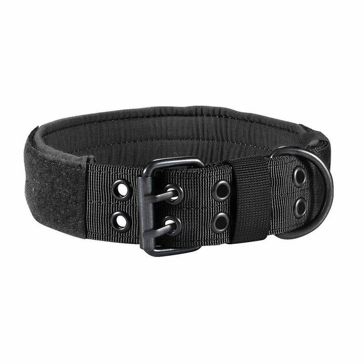 1000D Adjustable Collar With Eyelets Bull Terrier World M / Black