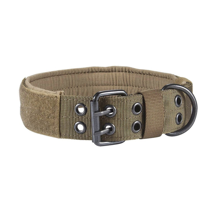1000D Adjustable Collar With Eyelets Bull Terrier World