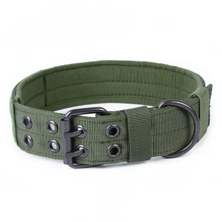 1000D Adjustable Collar With Eyelets Bull Terrier World