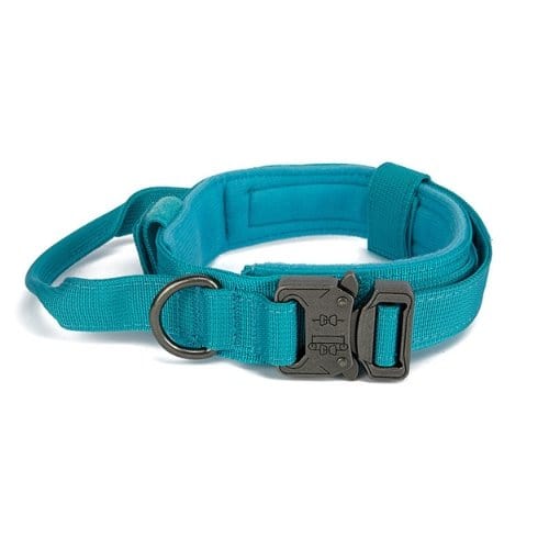 1000D Collar With Handle Bull Terrier World