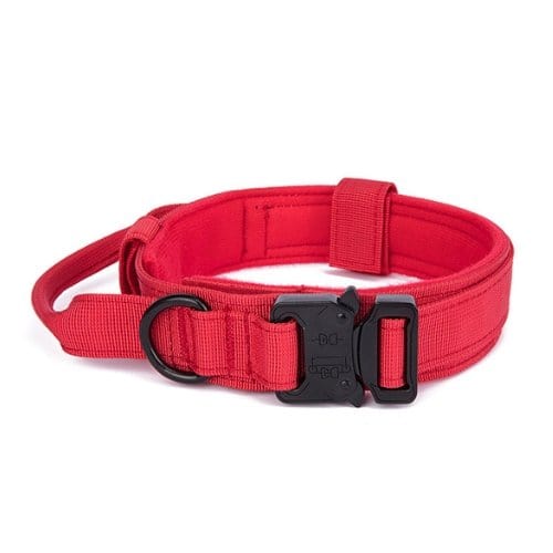 1000D Collar With Handle Bull Terrier World M / Red