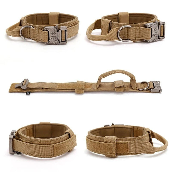 1000D Collar With Handle Bull Terrier World