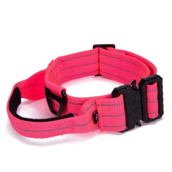 1000D Reflective Collar With Handle Bull Terrier World M / Pink