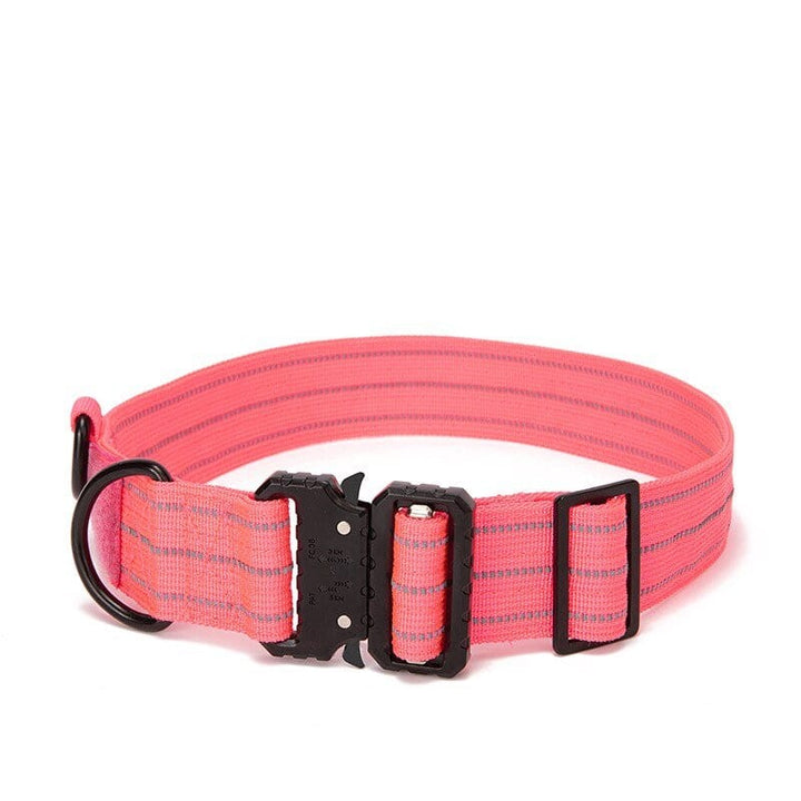 1000D Reflective Collar Without Handle Bull Terrier World