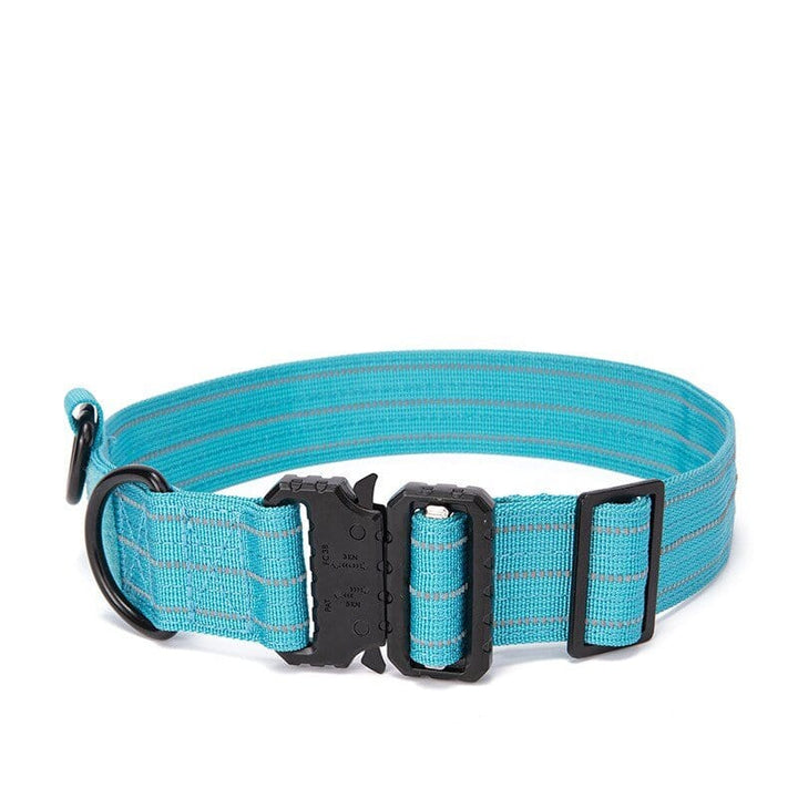 1000D Reflective Collar Without Handle Bull Terrier World Blue