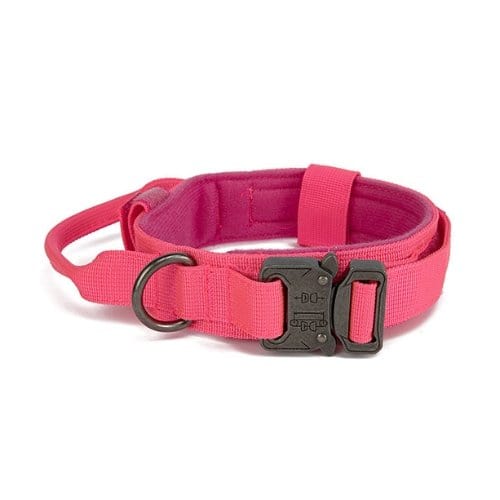 1000D Collar With Handle Bull Terrier World M / Pink
