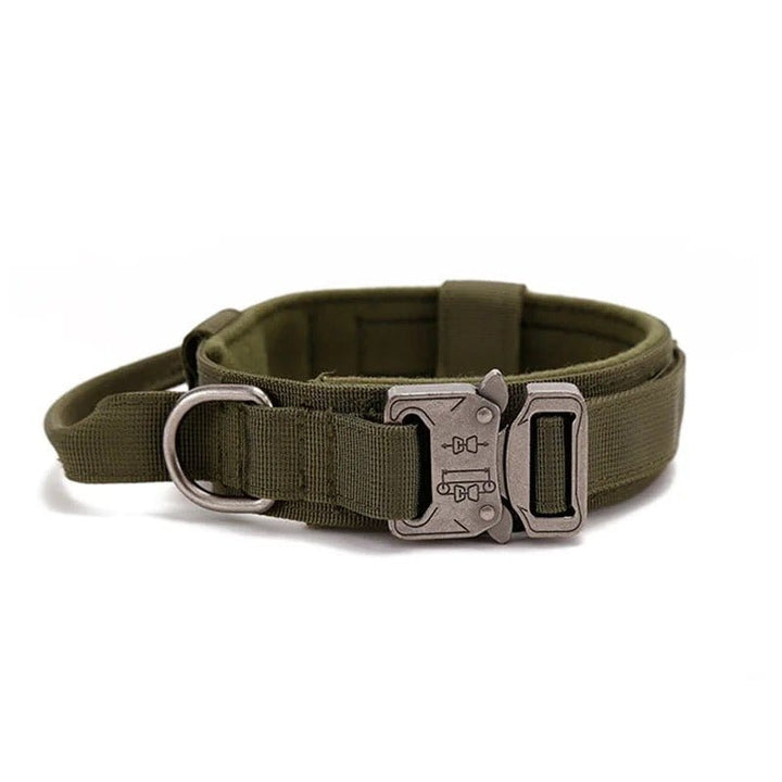 1000D Collar With Handle Bull Terrier World M / Army Green