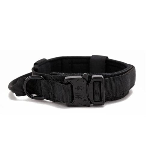 1000D Collar With Handle Bull Terrier World M / Black