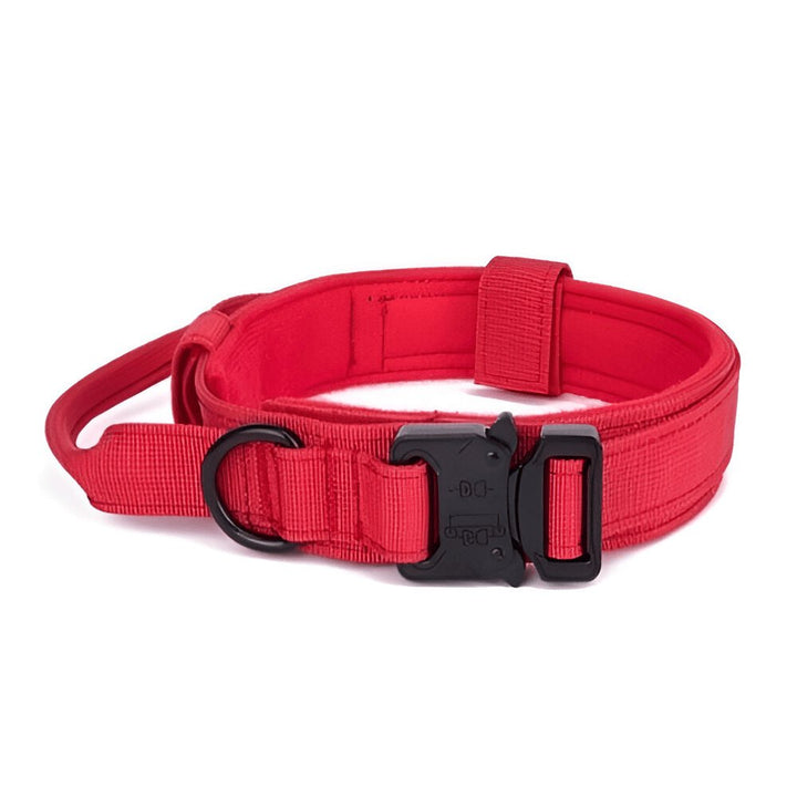 1000D Collar With Handle | Bull Terrier World