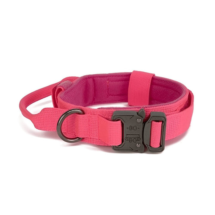 1000D Collar With Handle | Bull Terrier World