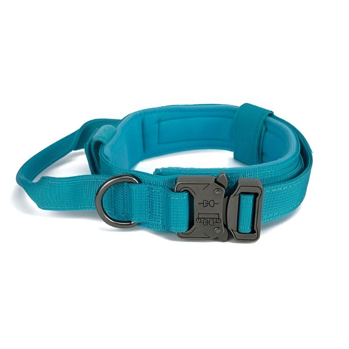 1000D Collar With Handle | Bull Terrier World