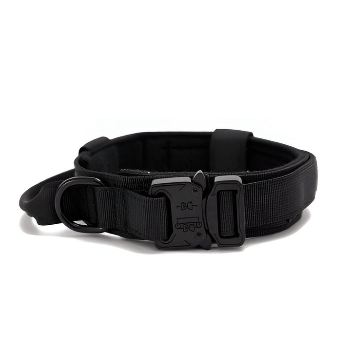 1000D Collar With Handle | Bull Terrier World