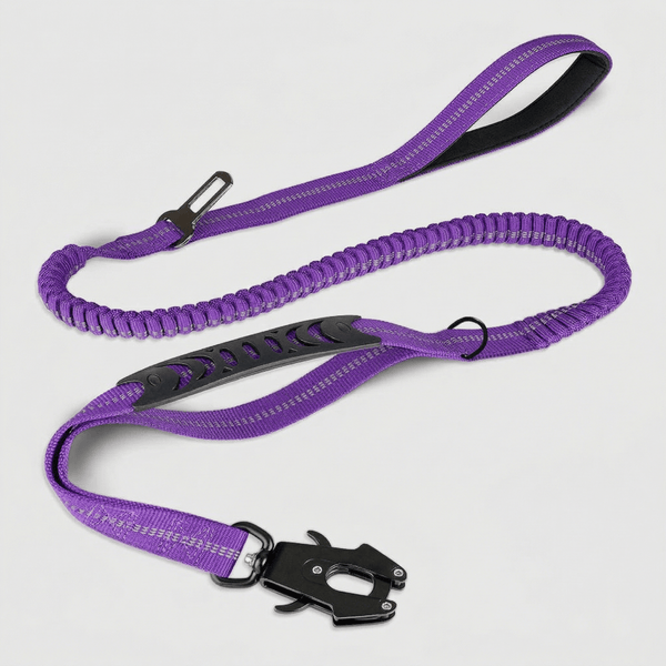 1000D Quick Release Reflective Bungee Leash