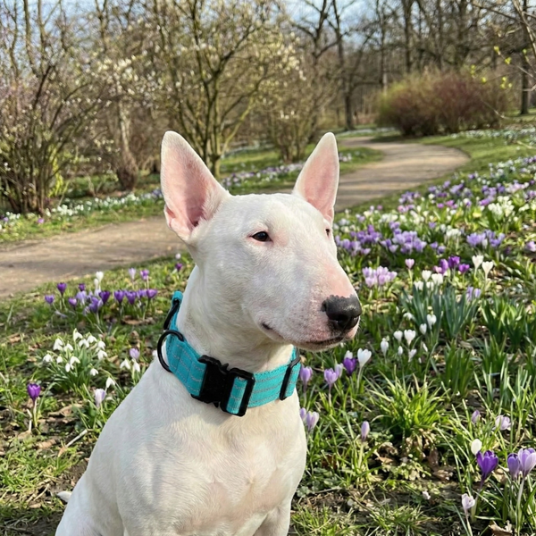 1000D Reflective Collar Without Handle