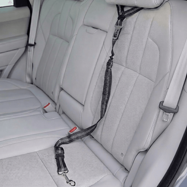 Cinturón de seguridad y correa elástica 3 en 1 para coche