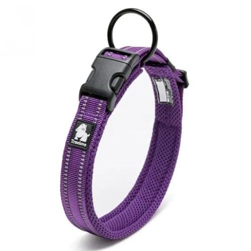 3M Reflective Padded Collar Bull Terrier World 2XS / Purple