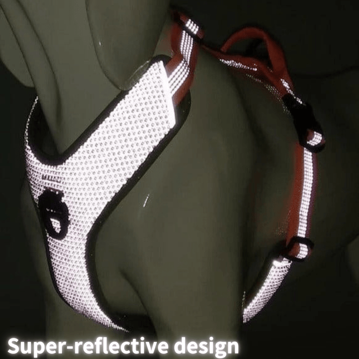 3M Super-Reflective No-Pull Harness | Bull Terrier World