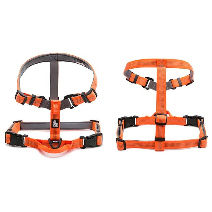 3M Lightweight Webbing Harness
