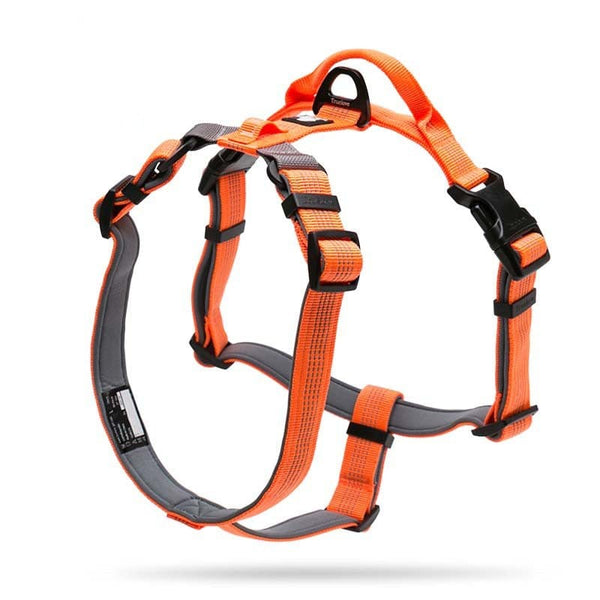 3M Lightweight Webbing Harness | Bull Terrier World