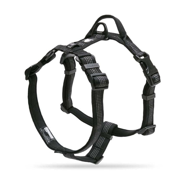 3M Lightweight Webbing Harness | Bull Terrier World