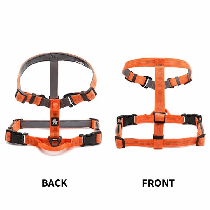 3M Lightweight Webbing Harness | Bull Terrier World