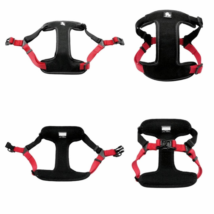 3M Padded Step - in Harness | Bull Terrier World