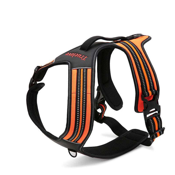 3M Reflective No - Pull Padded Harness | Bull Terrier World