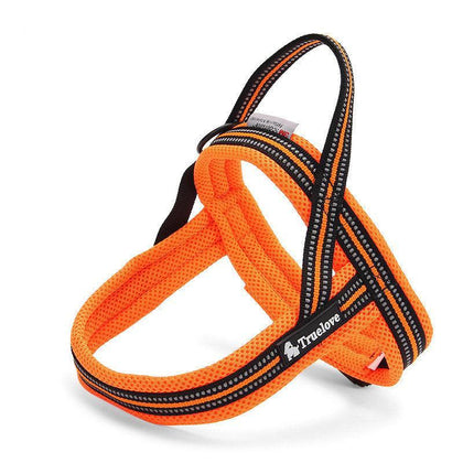 3M Reflective Padded Harness | Bull Terrier World
