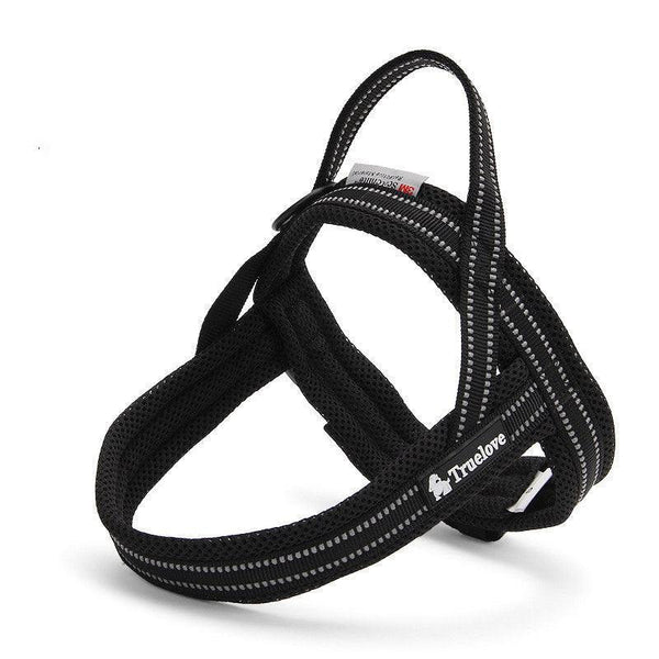 3M Reflective Padded Harness | Bull Terrier World