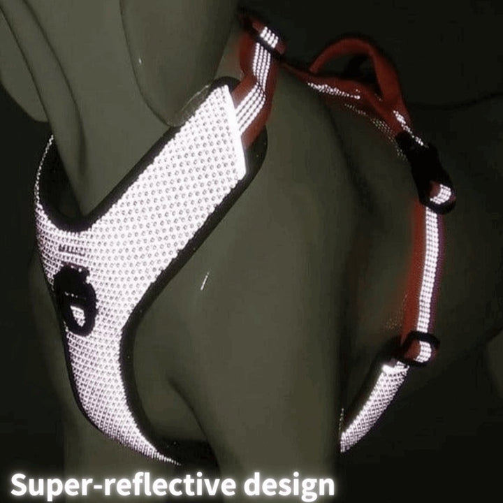 3M Super - Reflective No - Pull Harness | Bull Terrier World