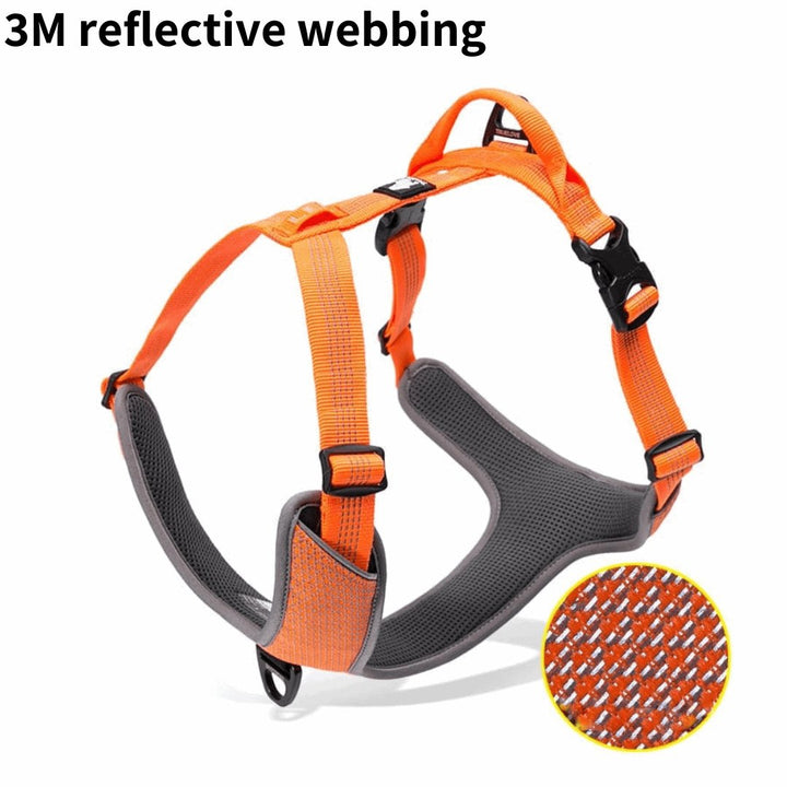 3M Super - Reflective No - Pull Harness | Bull Terrier World