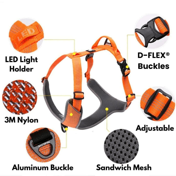 3M Super - Reflective No - Pull Harness | Bull Terrier World