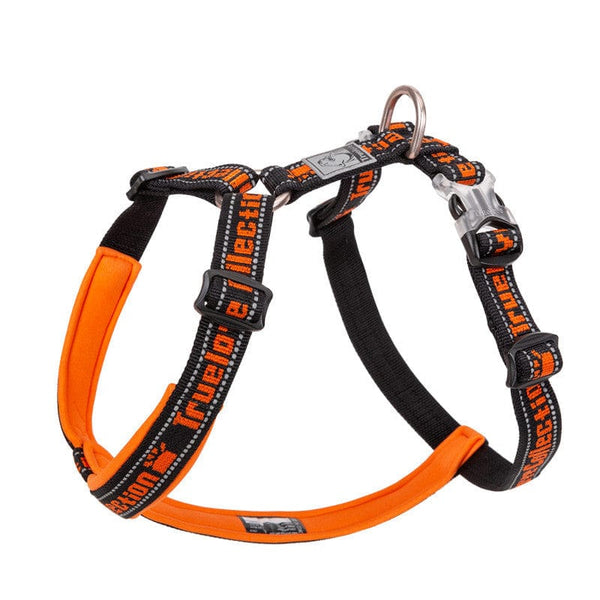 3M Truelove Lightweight Webbing Harness | Bull Terrier World