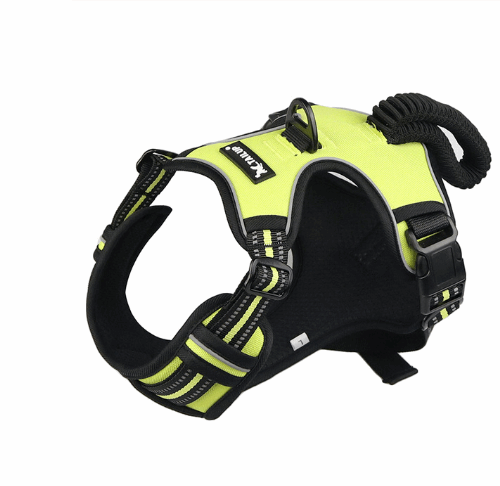 Easy Control No-Pull Harness Bull Terrier World S / Green