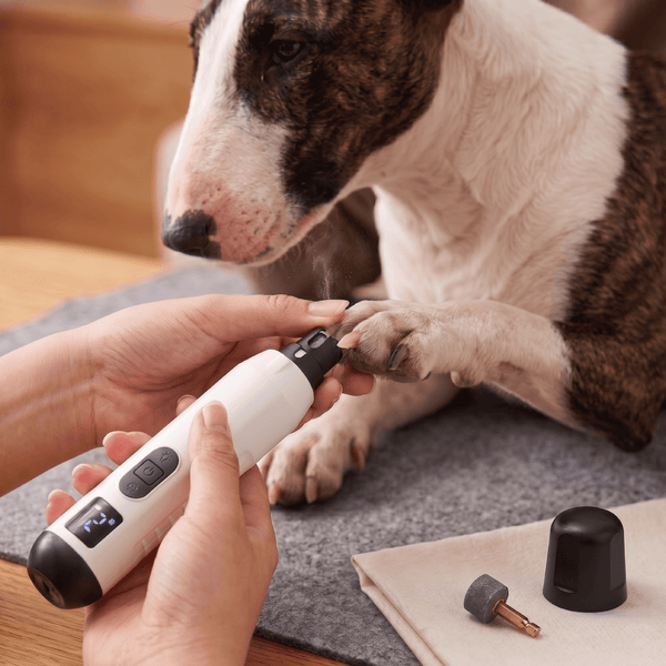 5-Speed LED Dog Nail Grinder