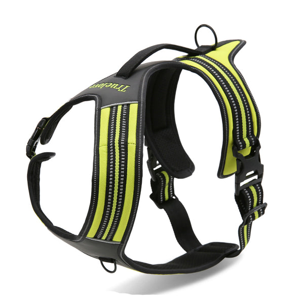 3M Reflective No-Pull Padded Harness Bull Terrier World XS / Green