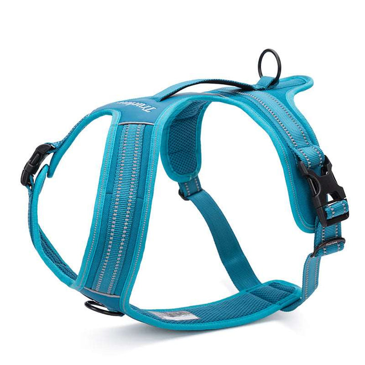 3M Reflective No-Pull Padded Harness Bull Terrier World XS / Blue