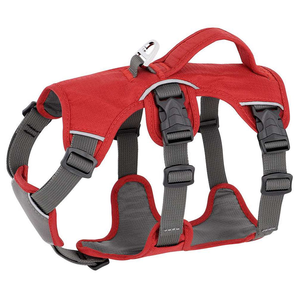 Reflective Escape-Proof Harness Bull Terrier World XXS / Red