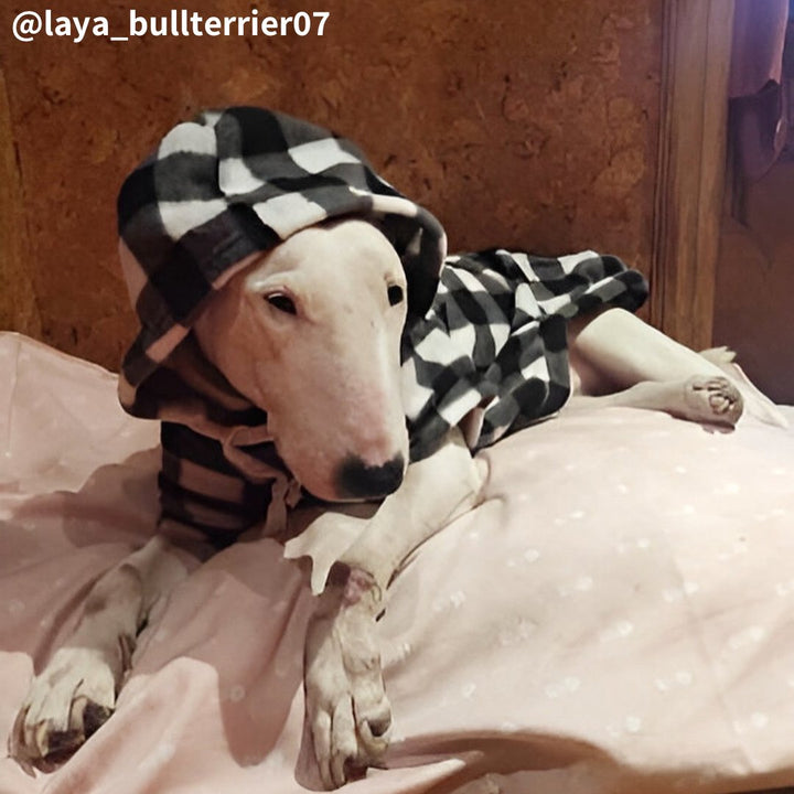 Plaid Hoodie With Zipper Pocket | Bull Terrier World