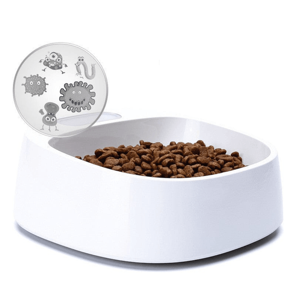 Antibacterial Bowl With Built-in Scale | Bull Terrier World