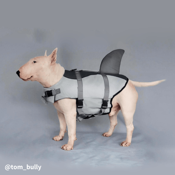 Dog Shark Life Jacket | Bull Terrier World