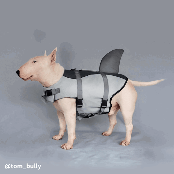 Dog Shark Life Jacket Bull Terrier World