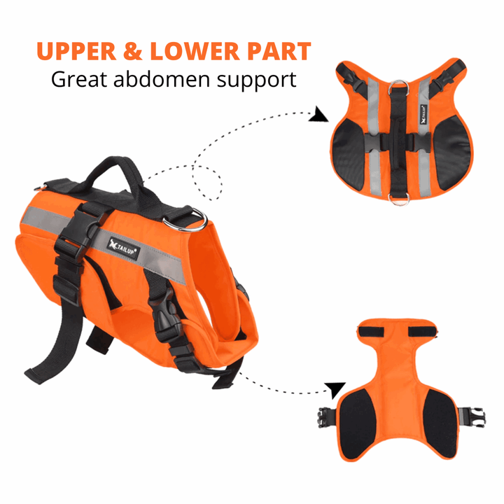 Double Support Dog Life Jacket Bull Terrier World