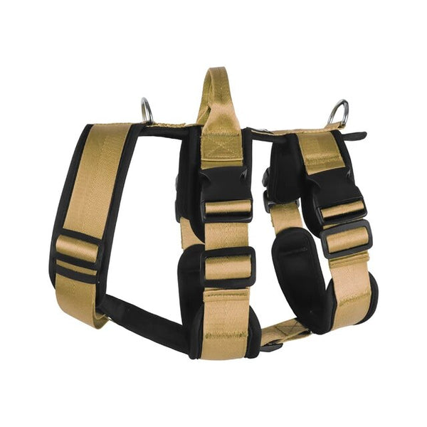 Double D-Ring Escape-Proof Harness