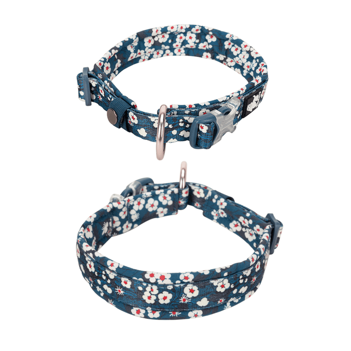 Floral Padded Collar | Bull Terrier World