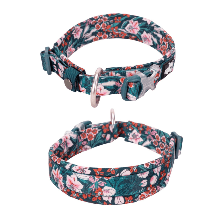 Floral Padded Collar | Bull Terrier World