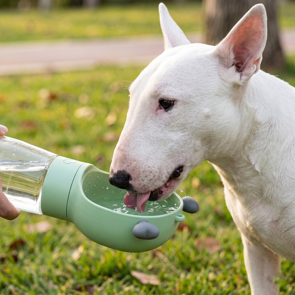 Botella de agua para perros con escarcha